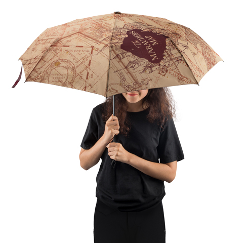 Parapluie - Carte du maraudeur