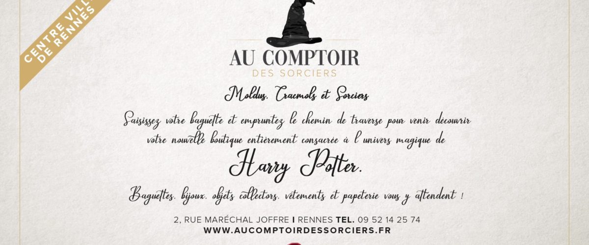 Un an déjà pour notre boutique Harry Potter à Rennes !