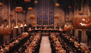 Acheter des produits Harry Potter Au Comptoir des Sorciers pour votre Halloween !