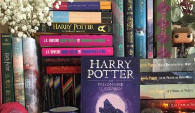 Harry Potter :  3 exemples de combat social dans la saga littéraire
