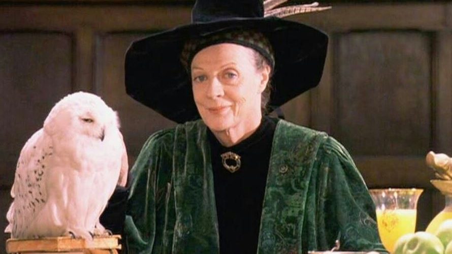 Découvrez les produits dérivés du Professeur Mcgonagall et Hedwige - Harry Potter à l'ecole des sorciers