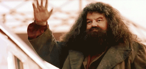 Hagrid - giphy - Vie et produits dérivés