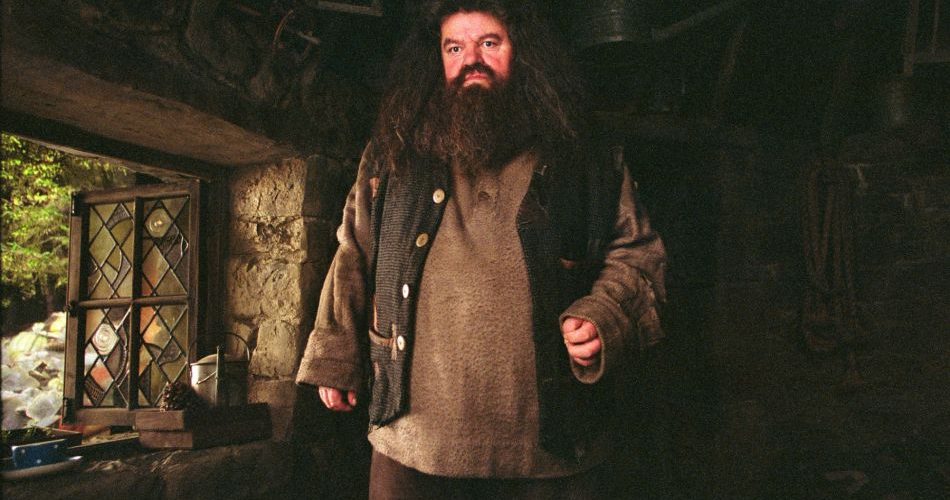 Personnage Rubeus Hagrid, produits dérviés et vie à Poudlard