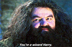 "Tu es un sorcier Harry" - Hagrid à Harry