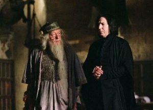 Rogue et Dumbledore - article produits dérivés Severus Rogue