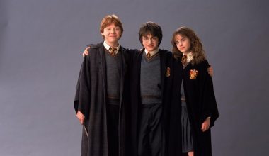 Déguisement Harry Potter : voici 5 accessoires indispensables !
