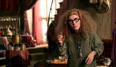 Saga Harry Potter : les prophéties du Professeur Sibylle Trelawney.