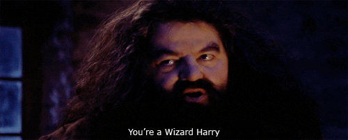 "Tu es un sorcier Harry Potter" cadeau anniversaire
