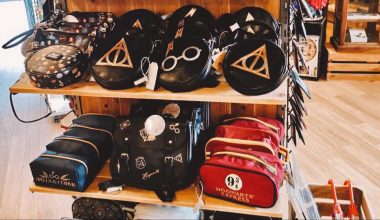 Tous nos sacs et maroquinerie Harry Potter pour un été magique !