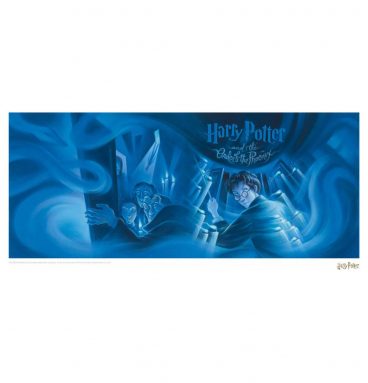 Affiche HP5