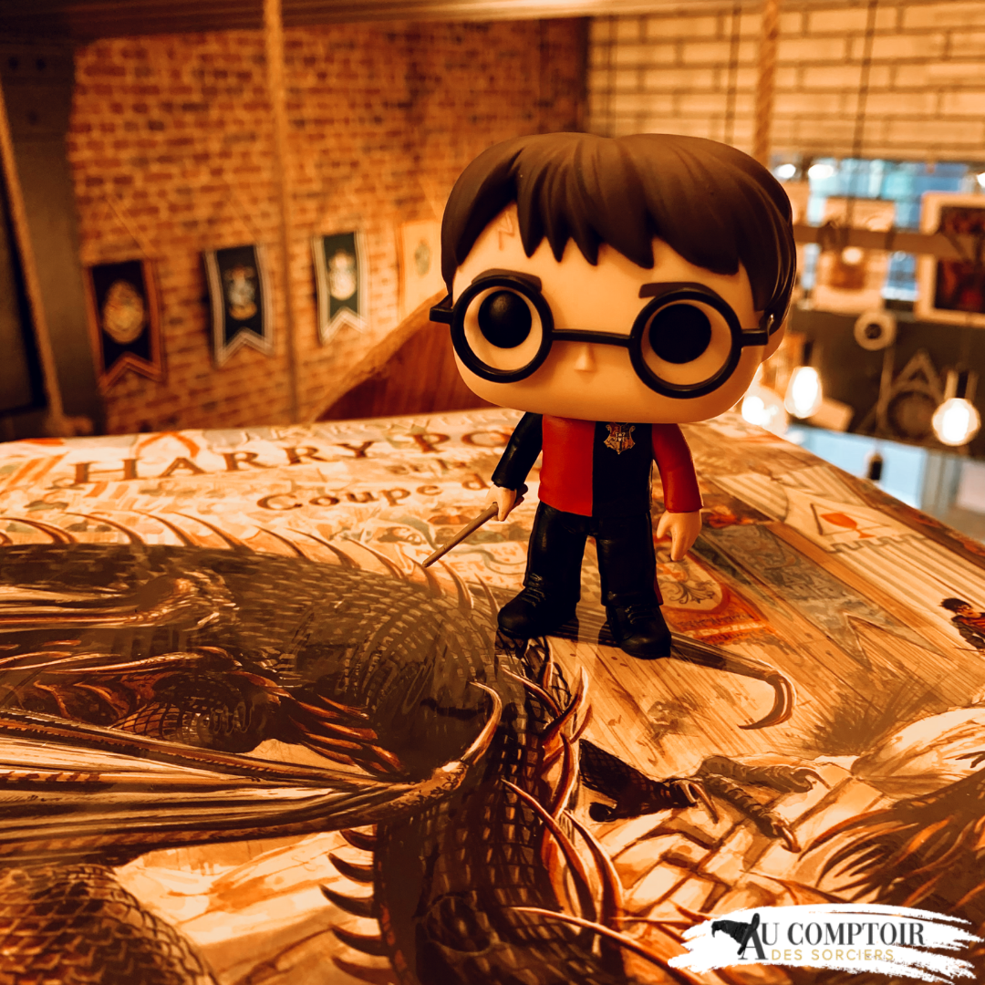Harry Potter et la Coupe de Feu édition Poufsouffle Au Comptoir des