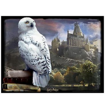 Puzzle lenticulaire 3D 300P '61x46cm' - Hedwige