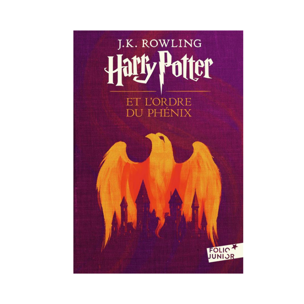 Livre de poche Harry Potter et l