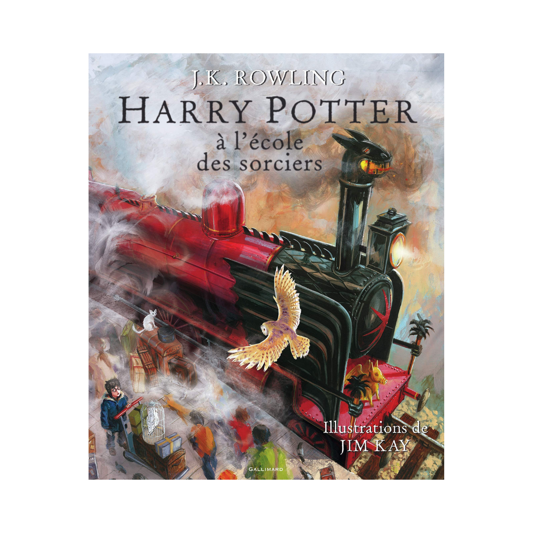 Livres illustrés Harry Potter à l'école des sorciers, Albums