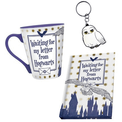 Pack Mug à thé + Porte-clés + Carnet "Hedwige"