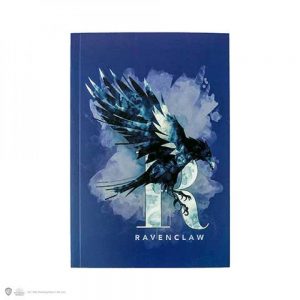 HARRY POTTER - SAGESSE : JOURNAL INTIME POUR CULTIVER SON AME DE