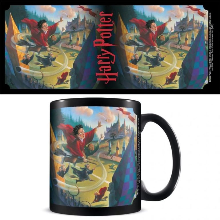 Mug Harry Potter Livre 1 Quidditch Au Comptoir Des Sorciers