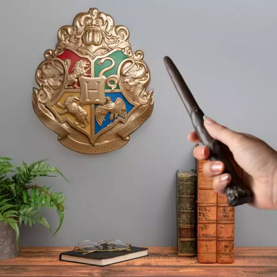 Présentoir Mural Harry Potter - 10 Baguettes 45 x 35cm - Noble Coll