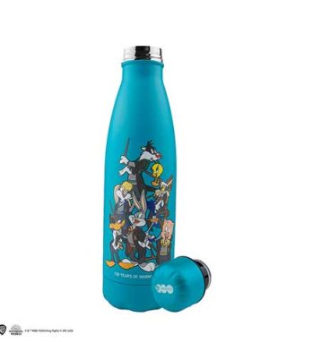 HARRY POTTER - Bouteille isotherme 500ml - Looney tunes - Poudlard - WB 100th